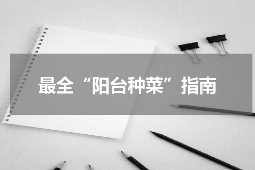 最全“阳台种菜”指南